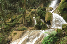 Load image into Gallery viewer, Guatemala SHB EP