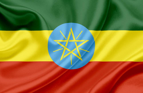 Ethiopian Ardi