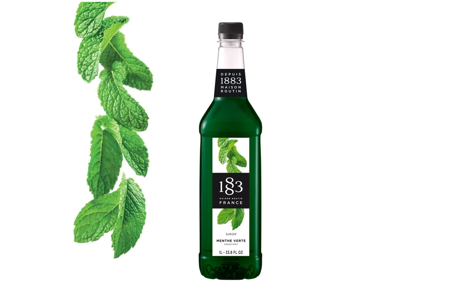 1883 Maison Routin Green Mint Syrup – Vaneli's Handcrafted Coffee